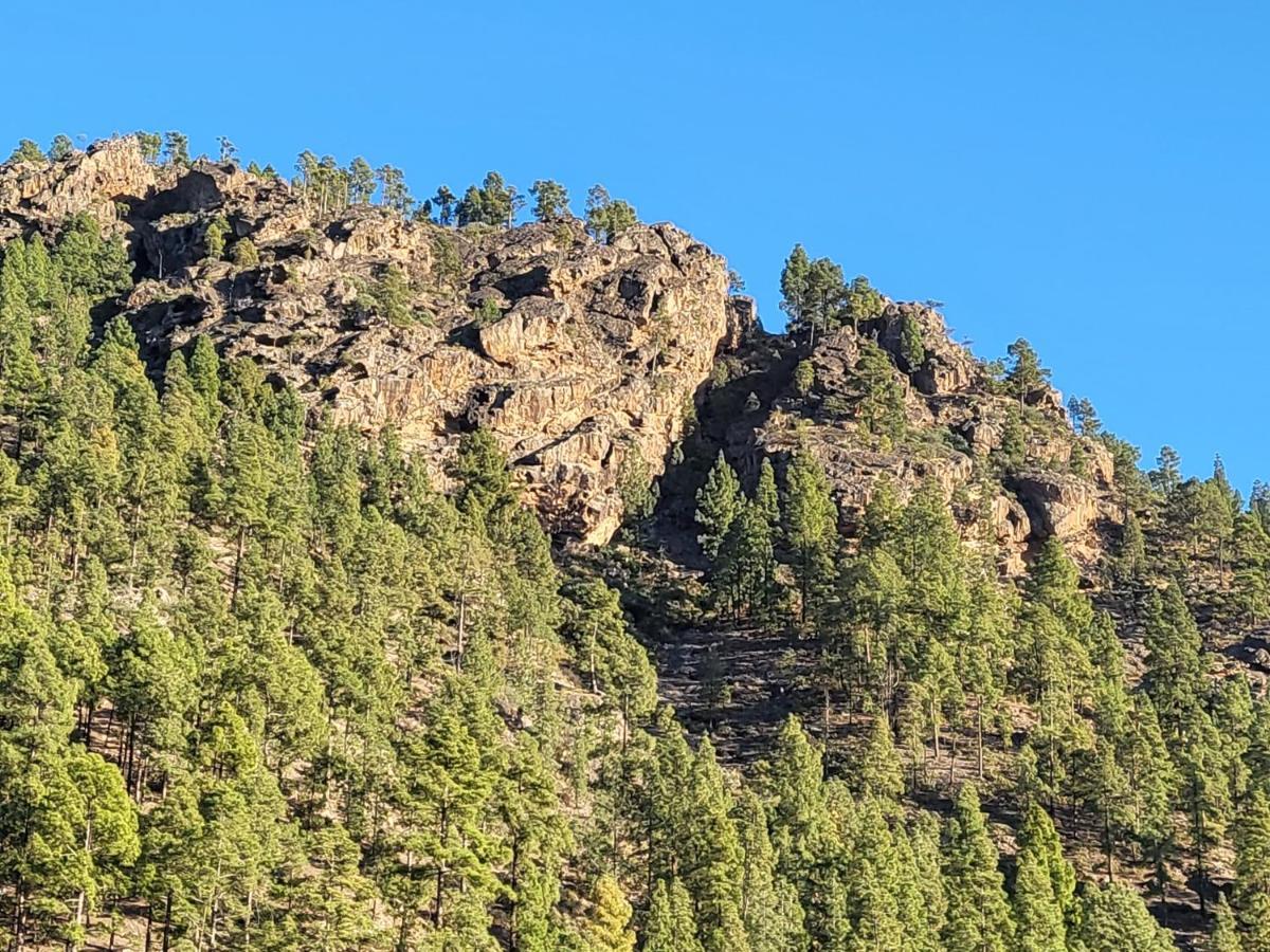 Casa Rural Los Pinares El Juncal De Tejeda المظهر الخارجي الصورة