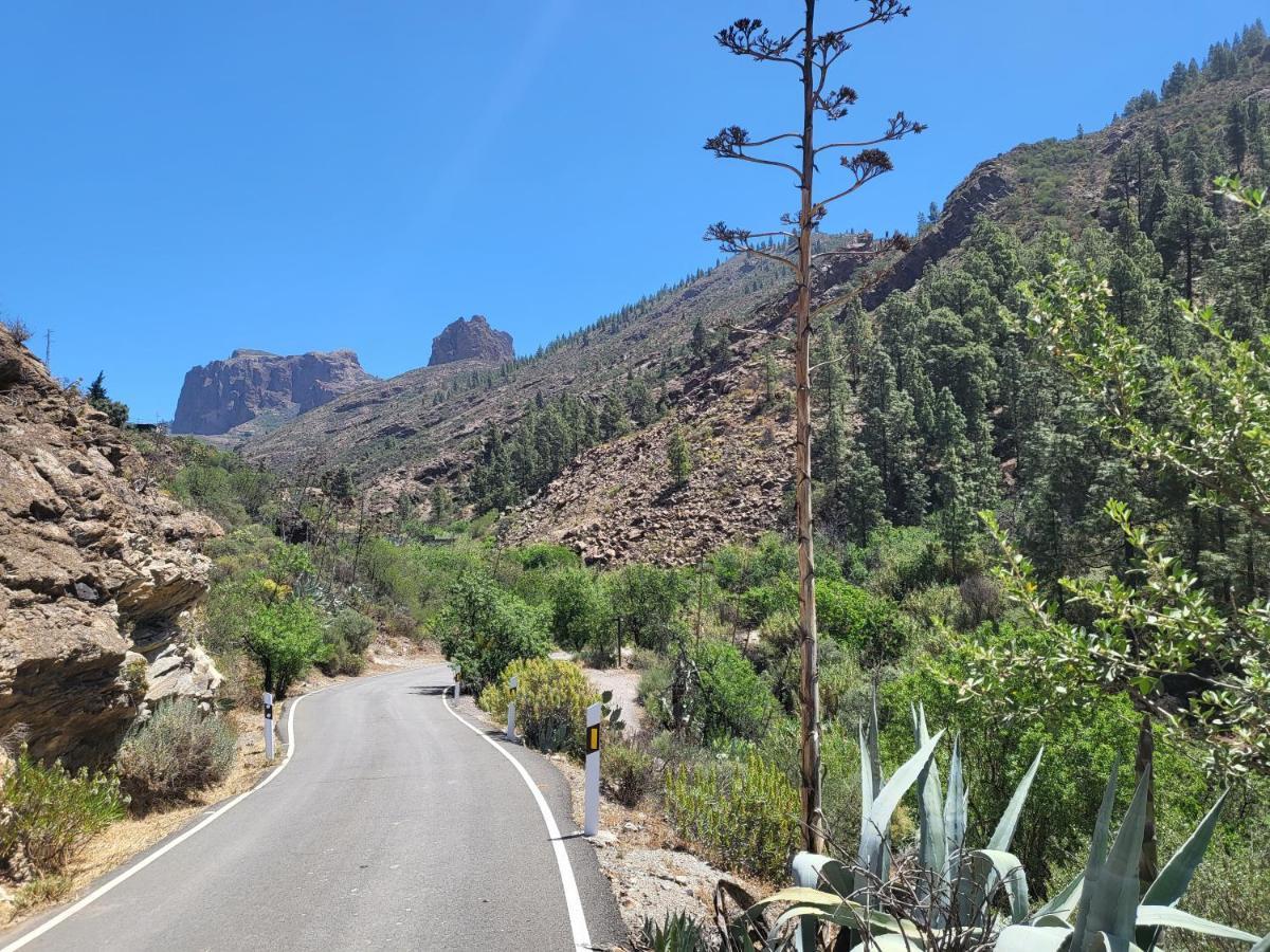 Casa Rural Los Pinares El Juncal De Tejeda المظهر الخارجي الصورة