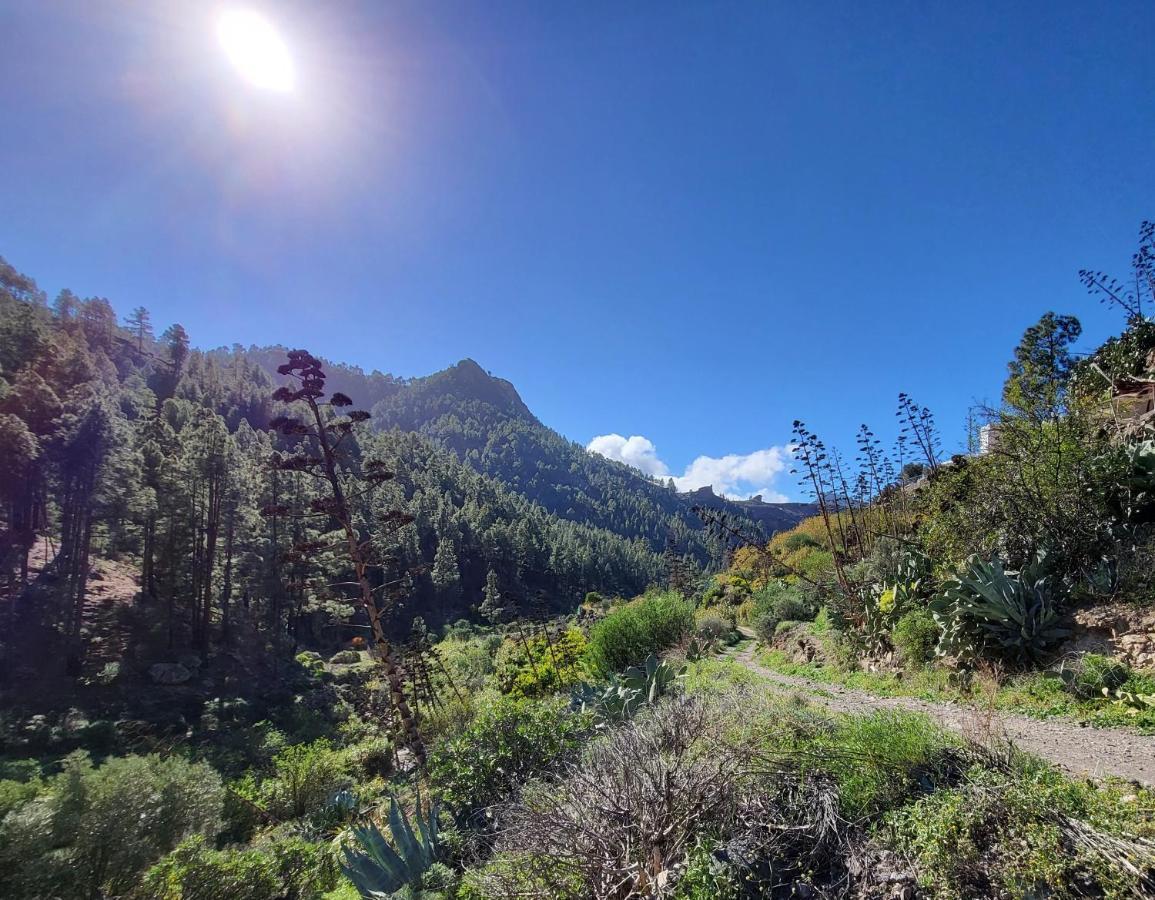 Casa Rural Los Pinares El Juncal De Tejeda المظهر الخارجي الصورة