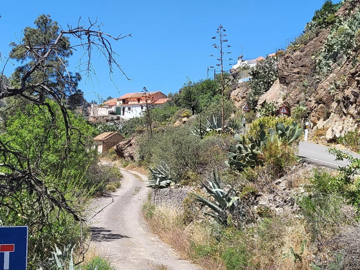 Casa Rural Los Pinares El Juncal De Tejeda المظهر الخارجي الصورة