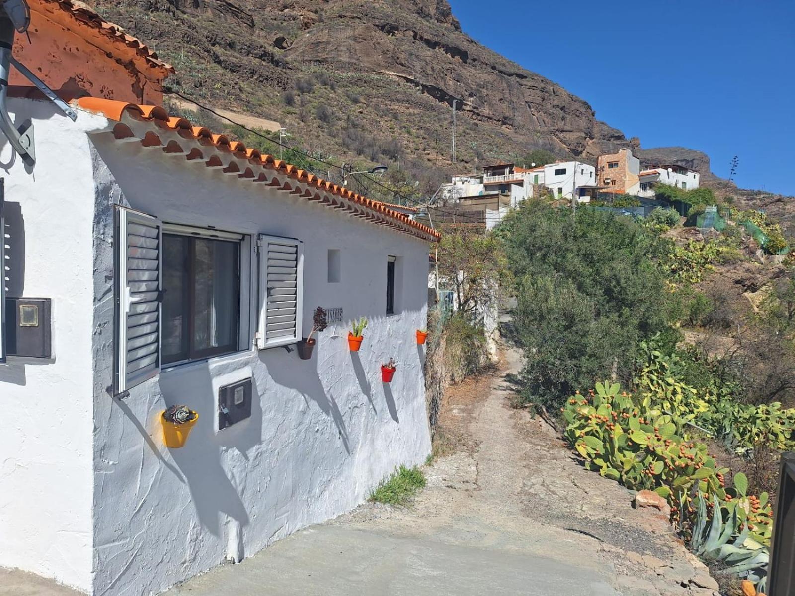 Casa Rural Los Pinares El Juncal De Tejeda المظهر الخارجي الصورة