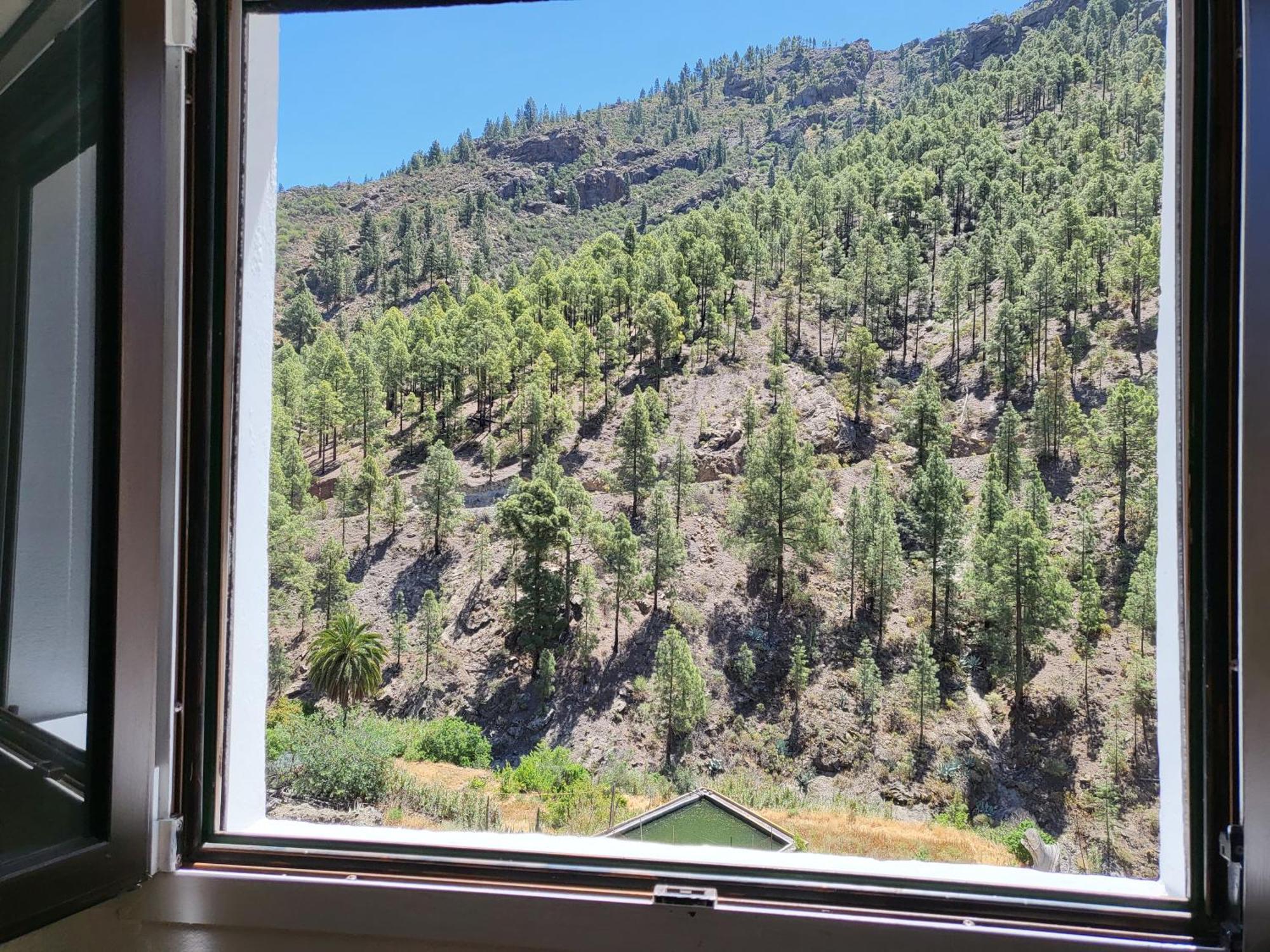 Casa Rural Los Pinares El Juncal De Tejeda المظهر الخارجي الصورة